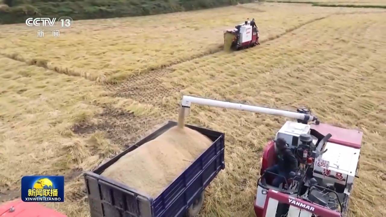 皇冠信用網会员_新思想引领新征程丨绘就乡村全面振兴壮美画卷