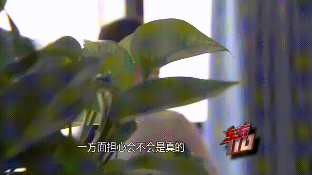 介绍个信用网址多少
_37岁痴情女子倾尽百万泡面果腹仍坚持转账：帮介绍个信用网址多少
他有种使命感